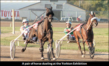 2010 Yorkton Wrap-Up; Look To Future