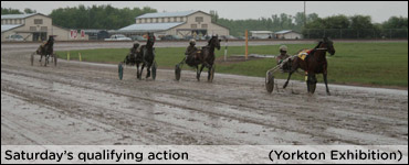 Racing Returns To Yorkton Exhibition