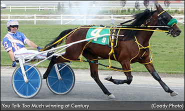 ‘Too Much’ Too Good In Breeders Stake