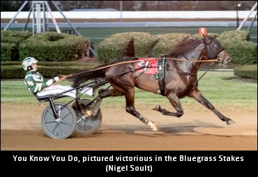 You Know You Do To Stud