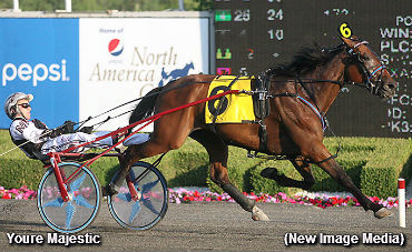 Favourite Parade In Gold Divisions