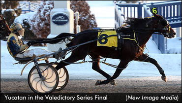 Waples & Johnson Sweep Boxing Day Stakes