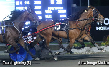 'Zeus' Trips Out And Triumphs