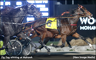 Zig Zag Zips To Win Mohawk Preferred