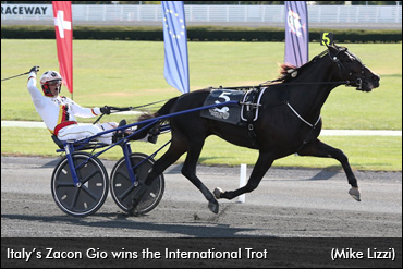 Zacon Gio Back To Work In Italy