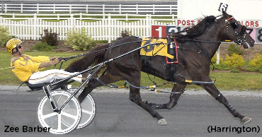 Showdown Brewing In DSBF Stakes