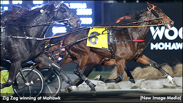 Zig Zag Zips In Qualifier