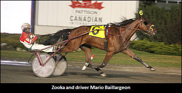 Gois Confirms Zooka Euthanization