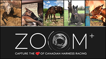 Harries Wins May Zoom Contest