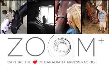 ZOOM Voting Now Open!
