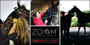 'Groom With A View' Photos Due