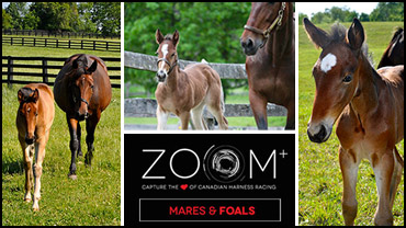 May Zoom Deadline Friday