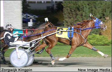 Zorgwijk Kingpin Crowned In OSS Gold Final 