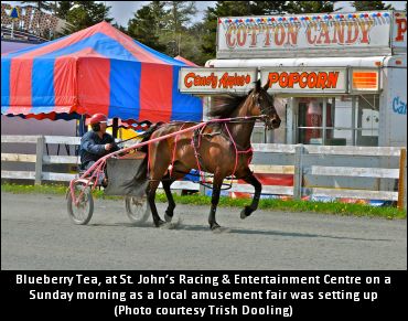Dooling Wins Zoom’s ‘At The Races’