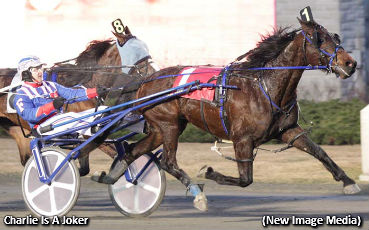 Henriksen Pupils 'Per-fect'