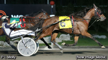 Harvest Score For P L Molly