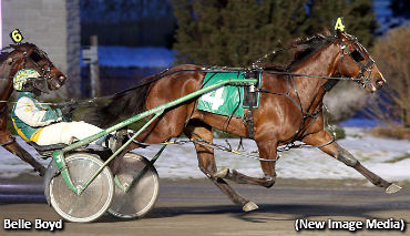 Blossom Sweep For Belle Boyd