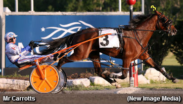 Grassroots Galore At Mohawk