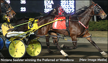 Nirvana Seelster Tops Preferred