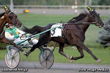 Southwind Amiga Surprises In Simcoe