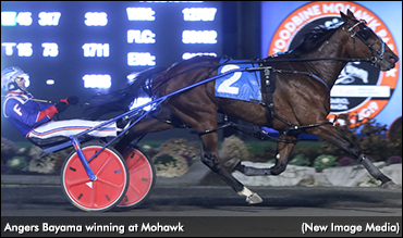 Angers Bayama Breezes In Harvest