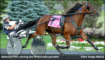 Whenuwishuponastar To Notorious Pink