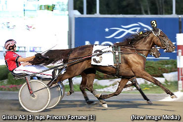 In Free Sweep For Gisela AS