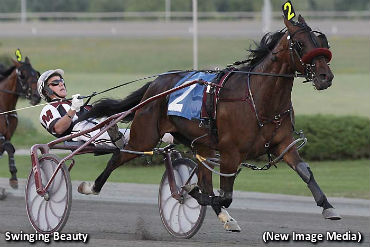 Swinging Beauty Takes Town Pro