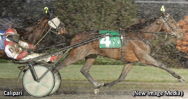 Snow Flying For Autumn Stakes 