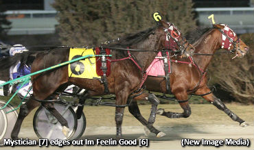 Mystician Repeats In Willowdale