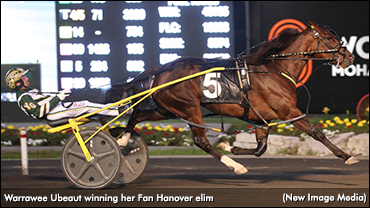 Warrawee Ubeaut Best In Fan Hanover Warrawee Ubeaut Best In Fan Hanover