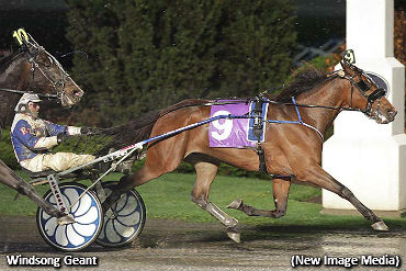 Windsong Geant Foils San Pail; Im On Cloud Nine Sweeps Celias Counsel