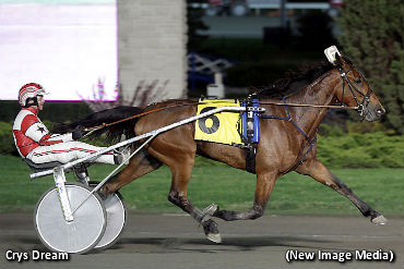 Crys Dream Outstanding In 2011 Debut