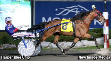 Harper Blue Chip Grabs Gold Again