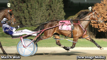 Faves Flop In Blossom Opener