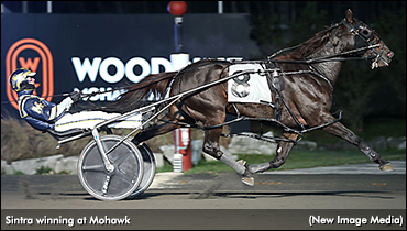 Sintra, So Much More Star In Preferreds