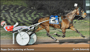 Pappy Go Go Sets Season Standard