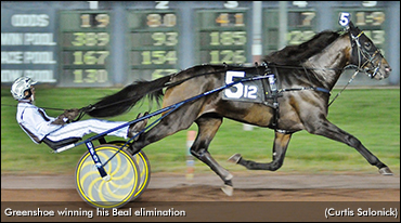 Slew Of Sun Stakes Elims Complete