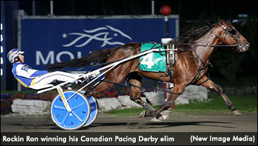 Rockin Ron Swift In Pacing Derby Elims