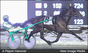 Miss Vera Bars To A Pippin Hanover