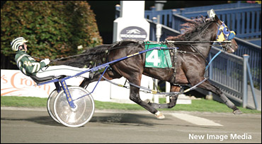 Trot NA Cup Spring Book - #3