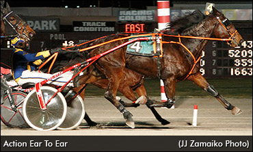 Pacer To Buggy Horse To Trotter