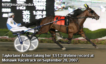 Taylorlane Action Retired