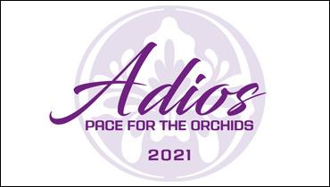 Adios Attracts 23 For Eliminations