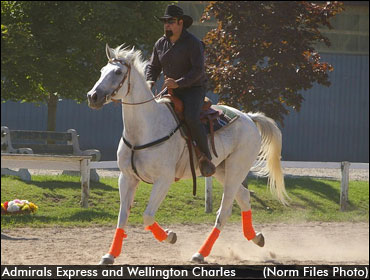 Honouring Admirals Express