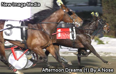 Afternoon Dreams Sweeps Don Mills