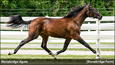 ‘Agate’ Tops Second London Session