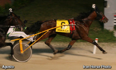 Agusto Triumphs In Dream Of Glory 