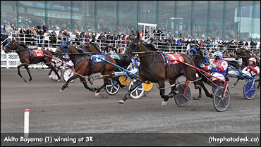 3R Hosts Quebec-Bred Championships
