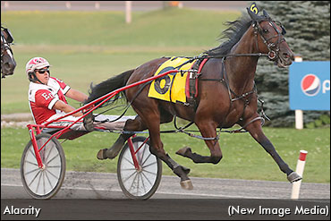 Gold Divisions To Maiden Breakers